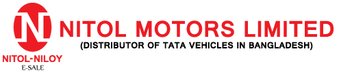More about eNitolMotors